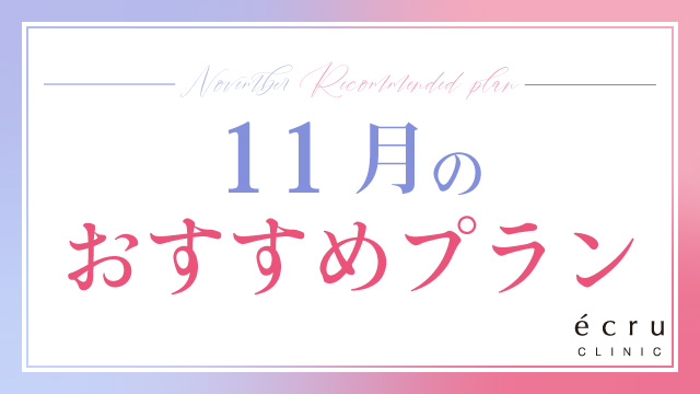 11月のおすすめプラン