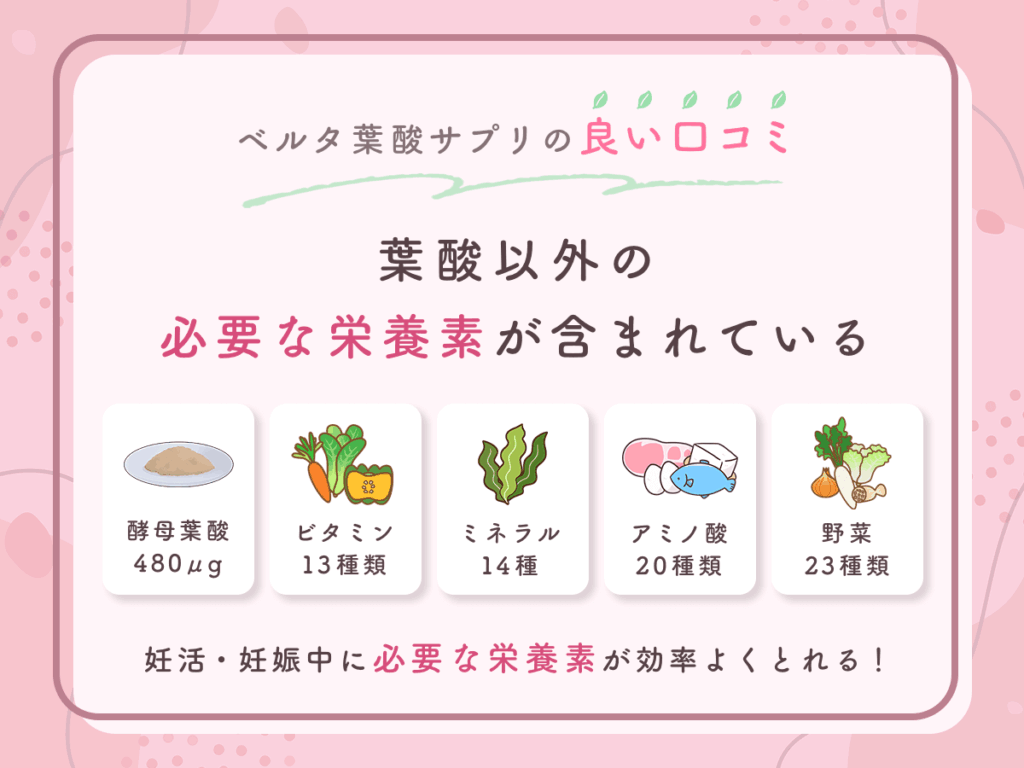 ベルタ葉酸サプリの良い口コミ③:葉酸以外の必要な栄養素が含まれている