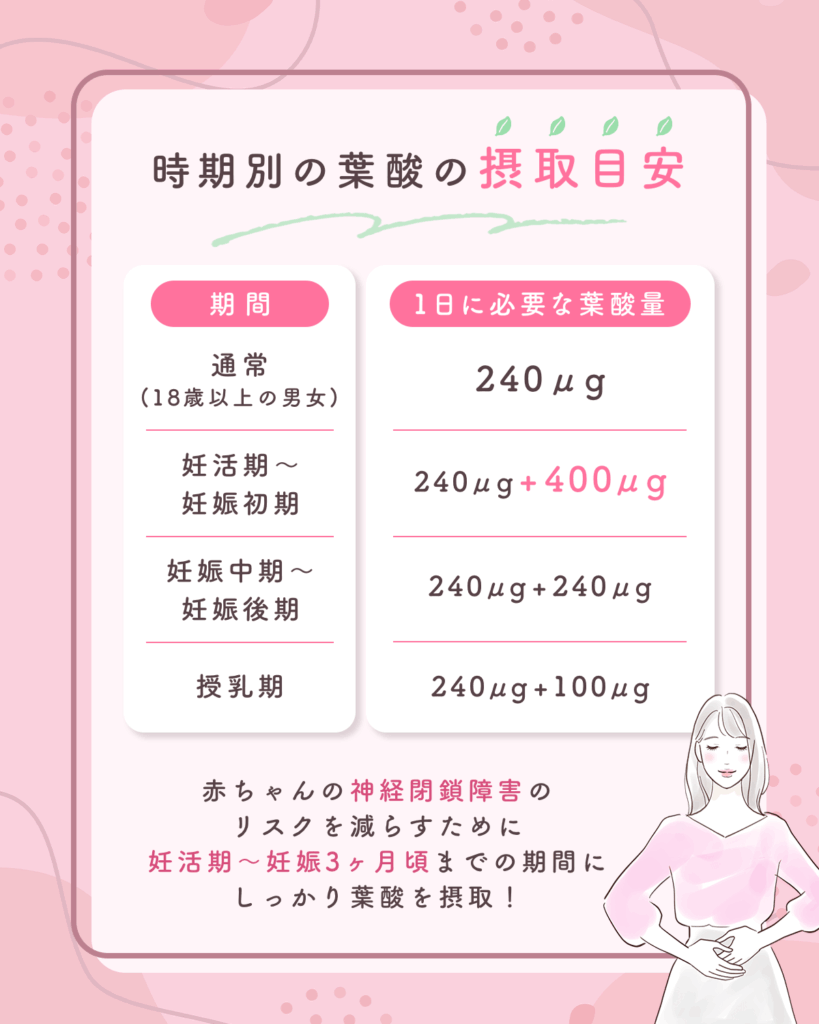 葉酸の摂取目安